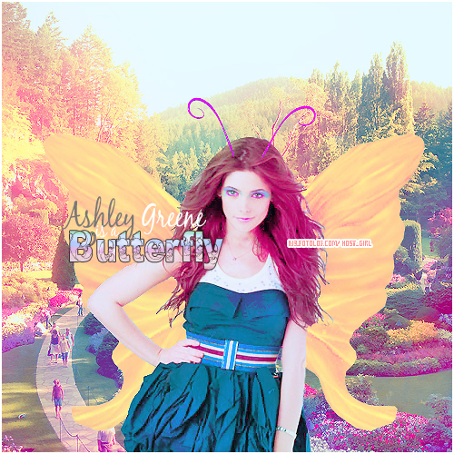 Ashley-Butterfly