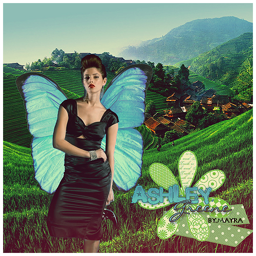  Ashley-Butterfly