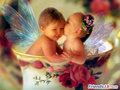 Sweet Angels - sweety-babies photo