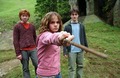 trio - hermione-granger photo