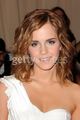 "American Woman: Fashioning A National Identity" Met Gala - Arrivals  - harry-potter photo