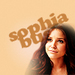 ♥SophiaBush♥ - sophia-bush icon