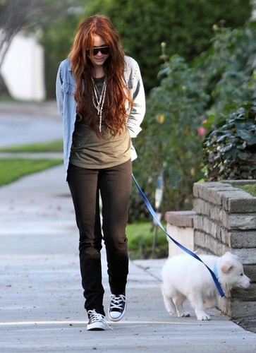 Billy Ray Cyrus And Miley Cyrus Out Walking Their Dogs