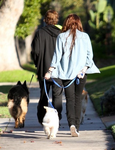  Billy sinar, ray Cyrus And Miley Cyrus Out Walking Their anjing