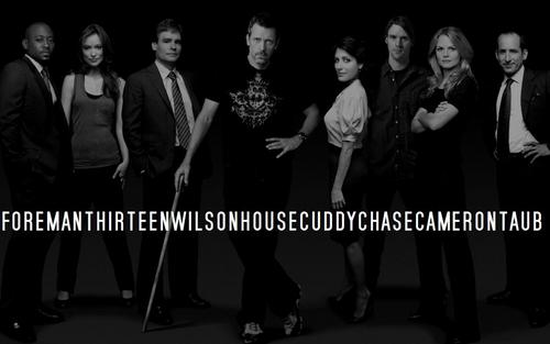  Cast of 'House MD'