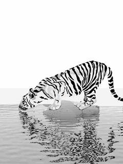  White Tiger,Animated