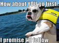 How about YOU go first… I promise I’ll follow - dogs photo
