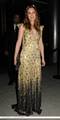 Metropolitan Museum of Art Costume Institute Gala After Party - May 3 - leighton-meester photo