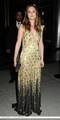 Metropolitan Museum of Art Costume Institute Gala After Party - May 3 - leighton-meester photo