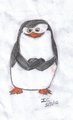 Skipper ^_^ - penguins-of-madagascar fan art