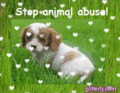 Stop Animal Abuse - against-animal-cruelty photo