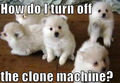 Turn off the clone machine ! - puppies photo