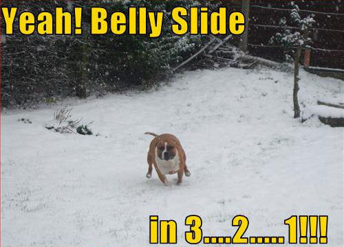  Yeah! Belly Slide in 3….2…..1!!!