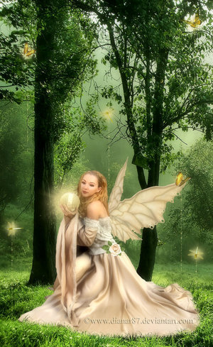  fairys