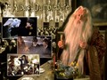 harry potter!!!!!!!!!!.....pic by pearl - harry-potter photo