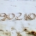 sandy 90210 - 90210 icon