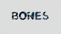 bones - 5x20-The Witch in the Wardrobe screencap