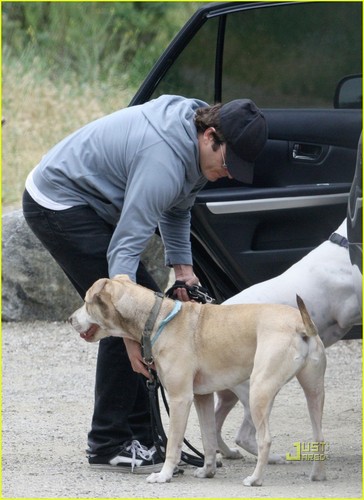 Joaquin with his dogs