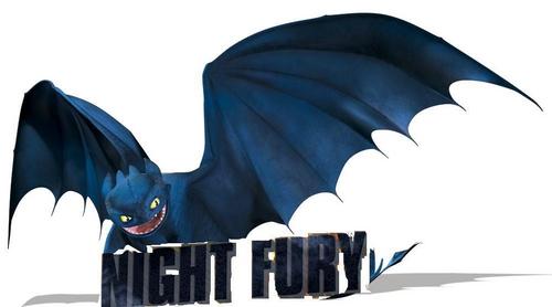  Night Fury