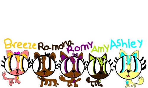  Us & boomerlover as cats!