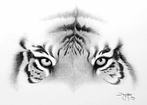  tiger face