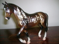 TWILIGHT THEMED HORSES! - twilight-series fan art