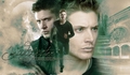 Winchesters - supernatural photo