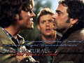 supernatural - Winchesters (: wallpaper