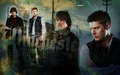 Winchesters (: - supernatural wallpaper