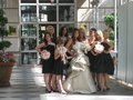 Danneel Harris"s Wedding - hilarie-burton photo