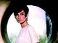 audrey-hepburn - How To Steal A Million wallpaper