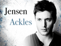 hottest-actors - Jensen Ackles <3 wallpaper