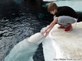 Justin Bieber Visits SeaWorld San Diego - justin-bieber photo