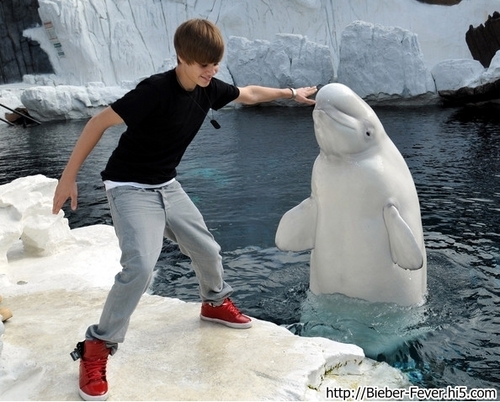 Justin Bieber Visits SeaWorld San Diego