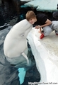 Justin Bieber Visits SeaWorld San Diego - justin-bieber photo