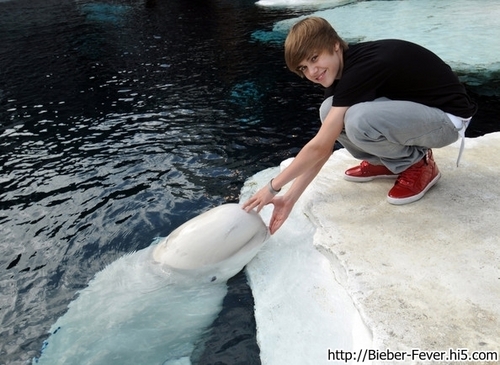  Justin Bieber Visits SeaWorld San Diego