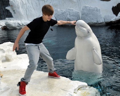  Justin Bieber and lumba-lumba, ikan lumba-lumba