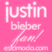 Justin Bieber fan - justin-bieber icon