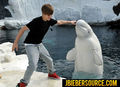 Justin Bieber in seaworld San diego - justin-bieber photo