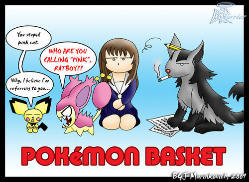  Pokemon Basket