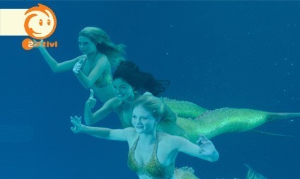 mermaids forever