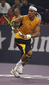 nadal yellow - tennis photo