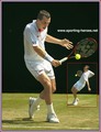 radek stepanek 2006 - tennis photo