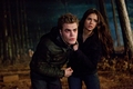 1x17 - Let the Right One In - stefan-and-elena photo