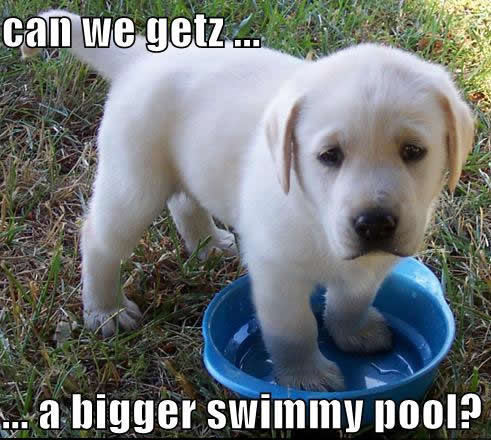  Bigger swimming pool !!!