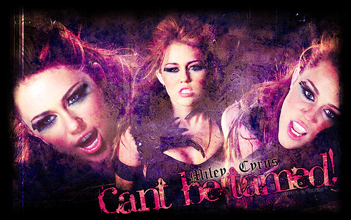  Can't Be Tamed Blend