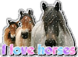  I amor caballos