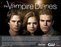 Promotion _ Promo Season 2 (HQ) - the-vampire-diaries-tv-show photo