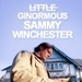 Sam | 5x15 - 5x19 - sam-winchester icon