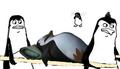 Severely Wounded - penguins-of-madagascar fan art